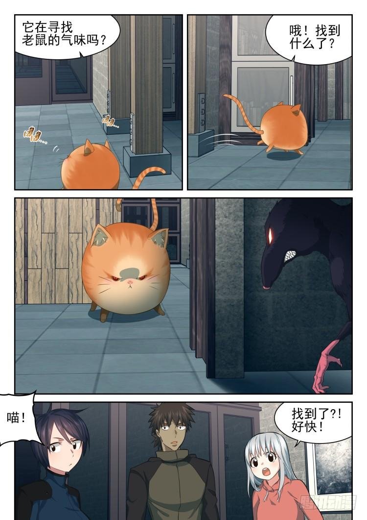 庇护所鼠患