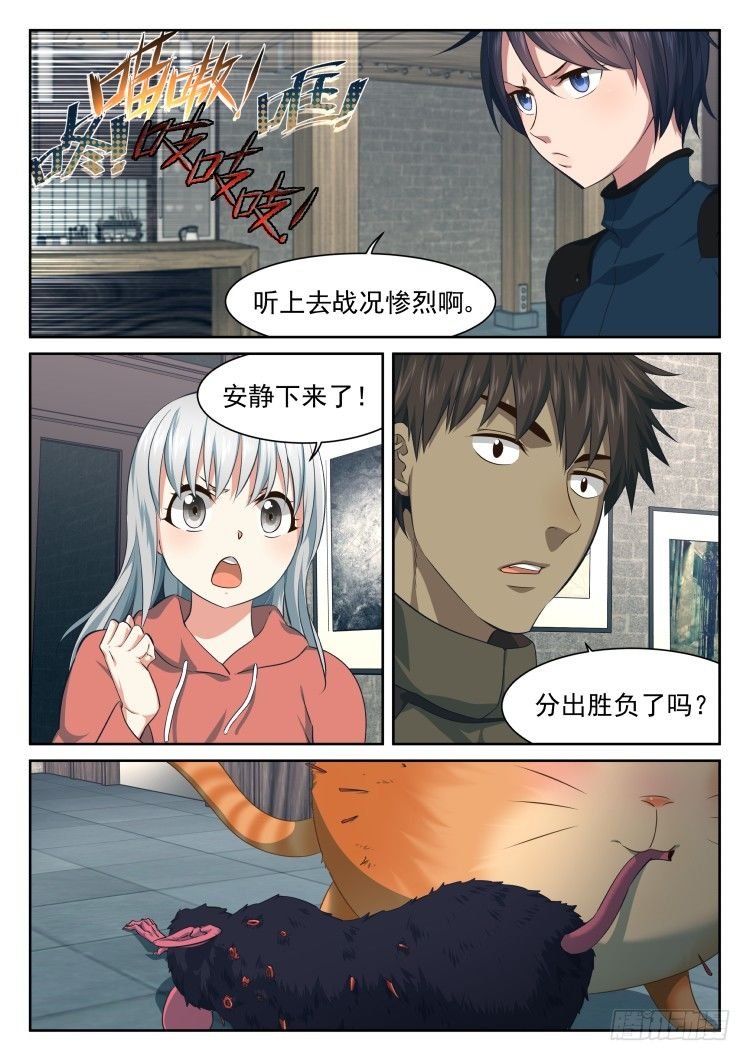 庇护所鼠患