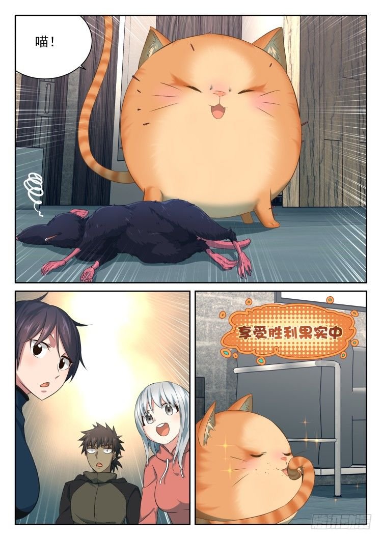 庇护所鼠患