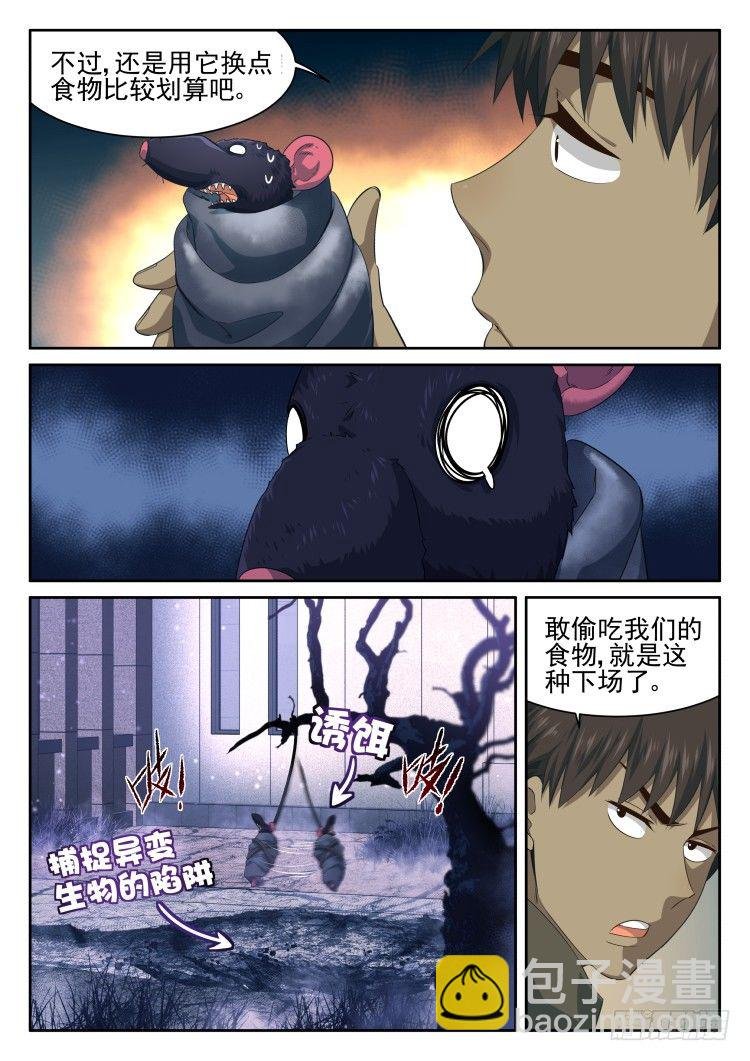 庇护所鼠患