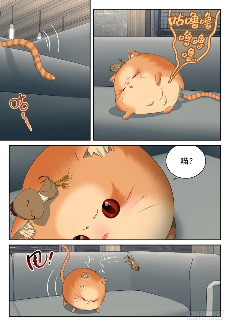 搞事小组