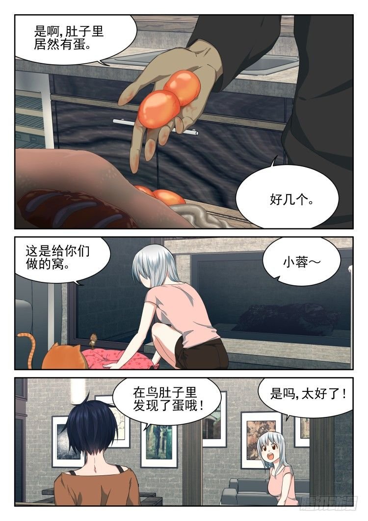搞事小组