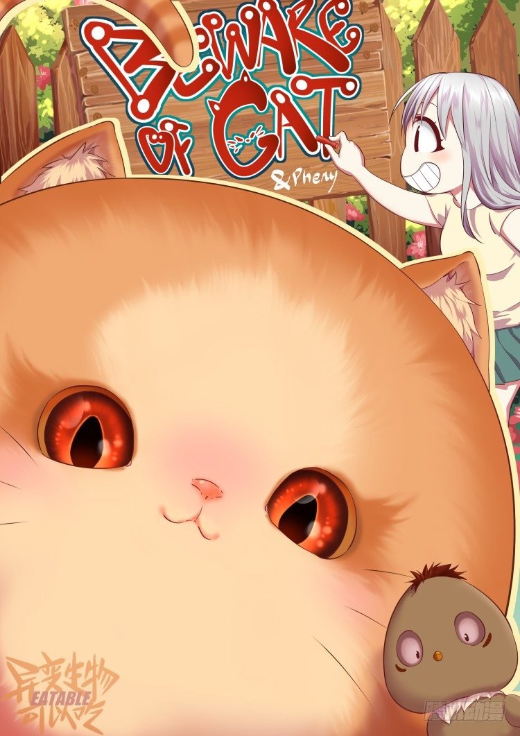 恶猫警告