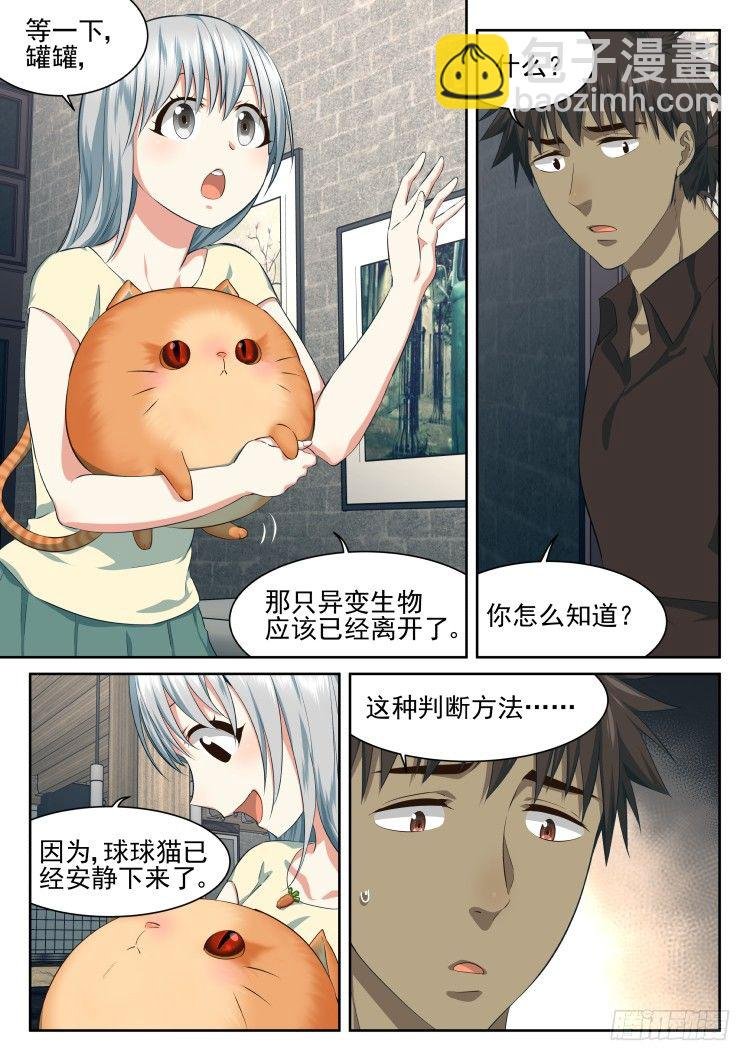 恶猫警告
