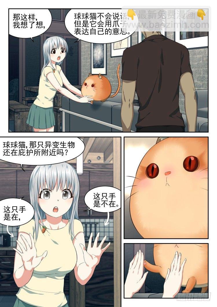 恶猫警告