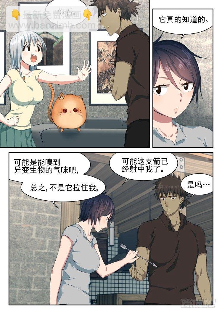恶猫警告