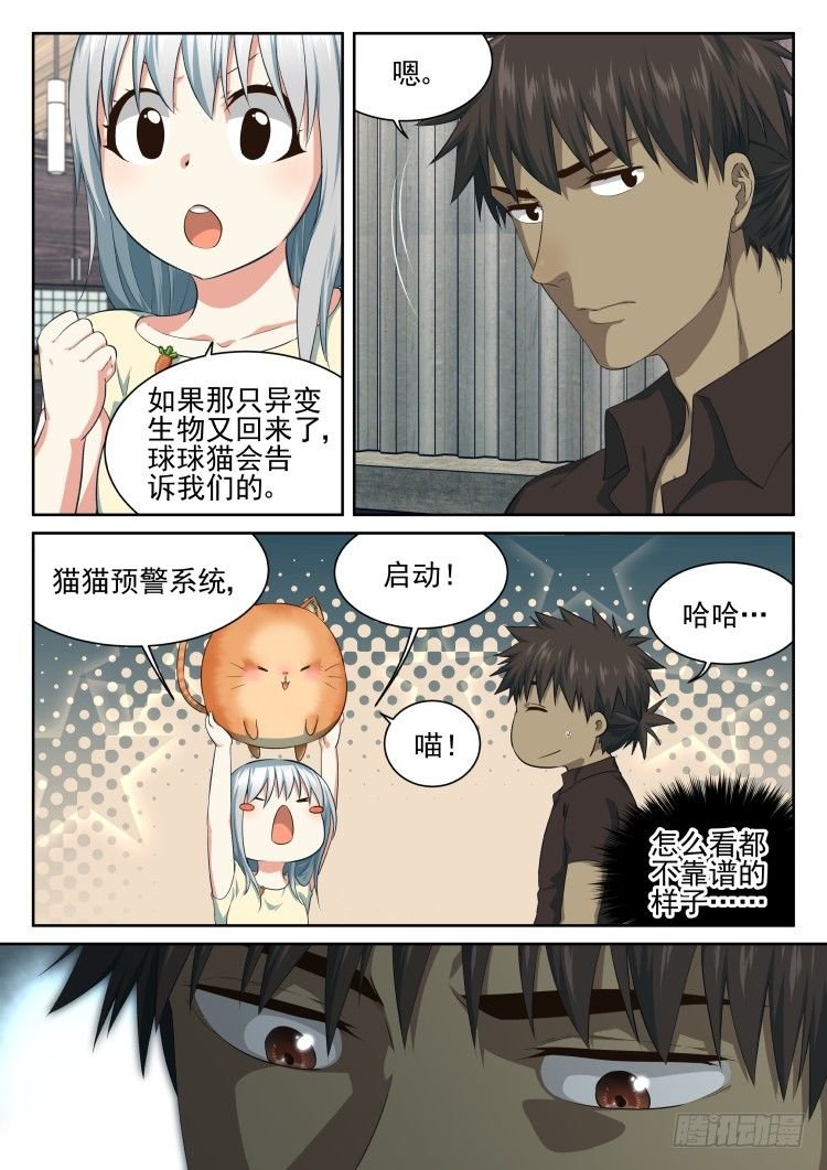 恶猫警告