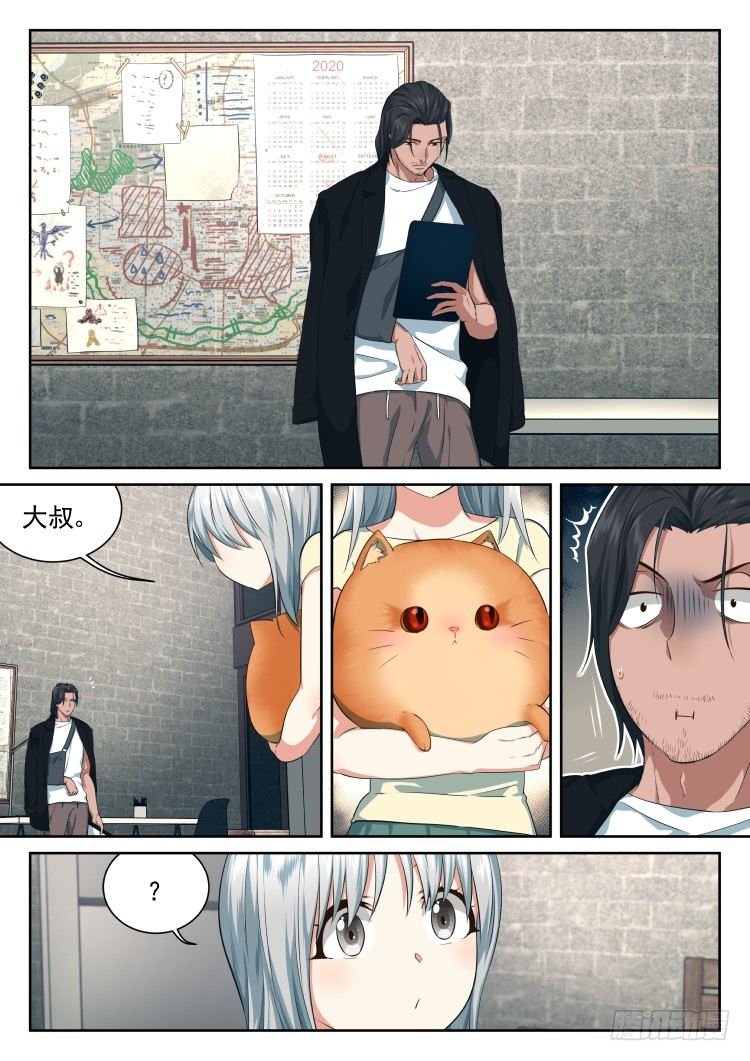 恶猫警告