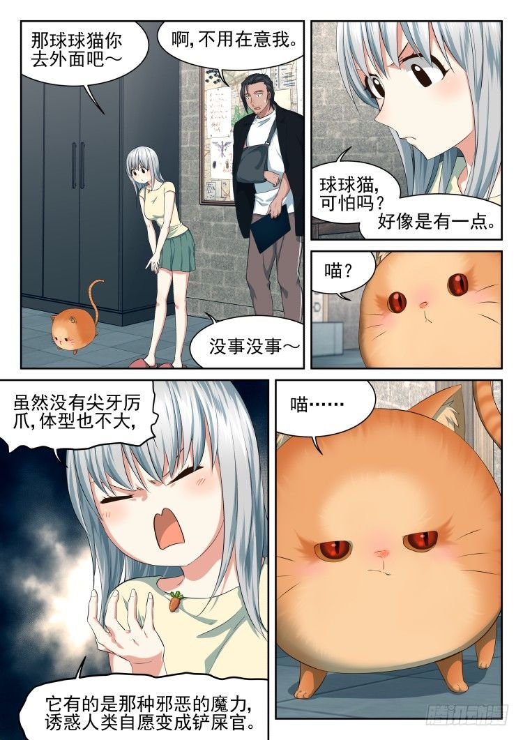 恶猫警告