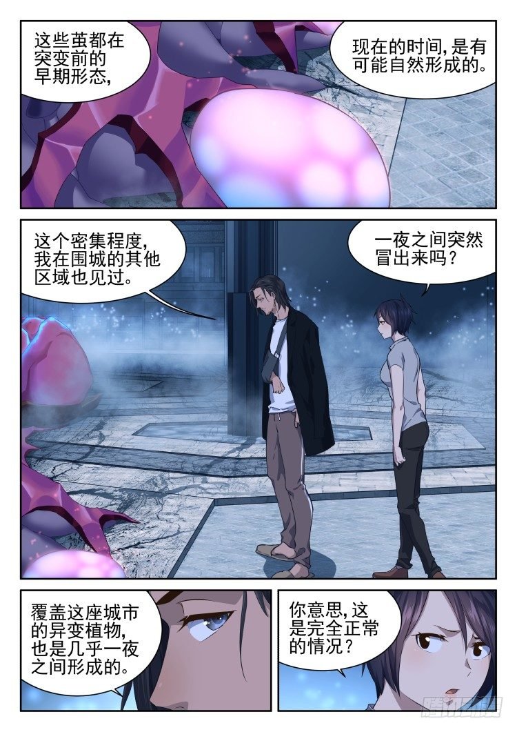 全是吃的