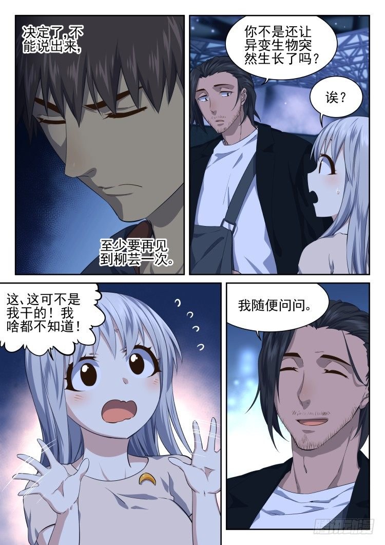全是吃的