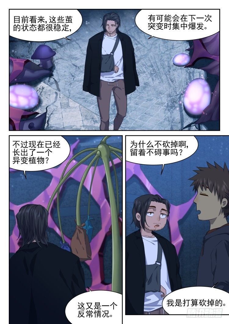 全是吃的
