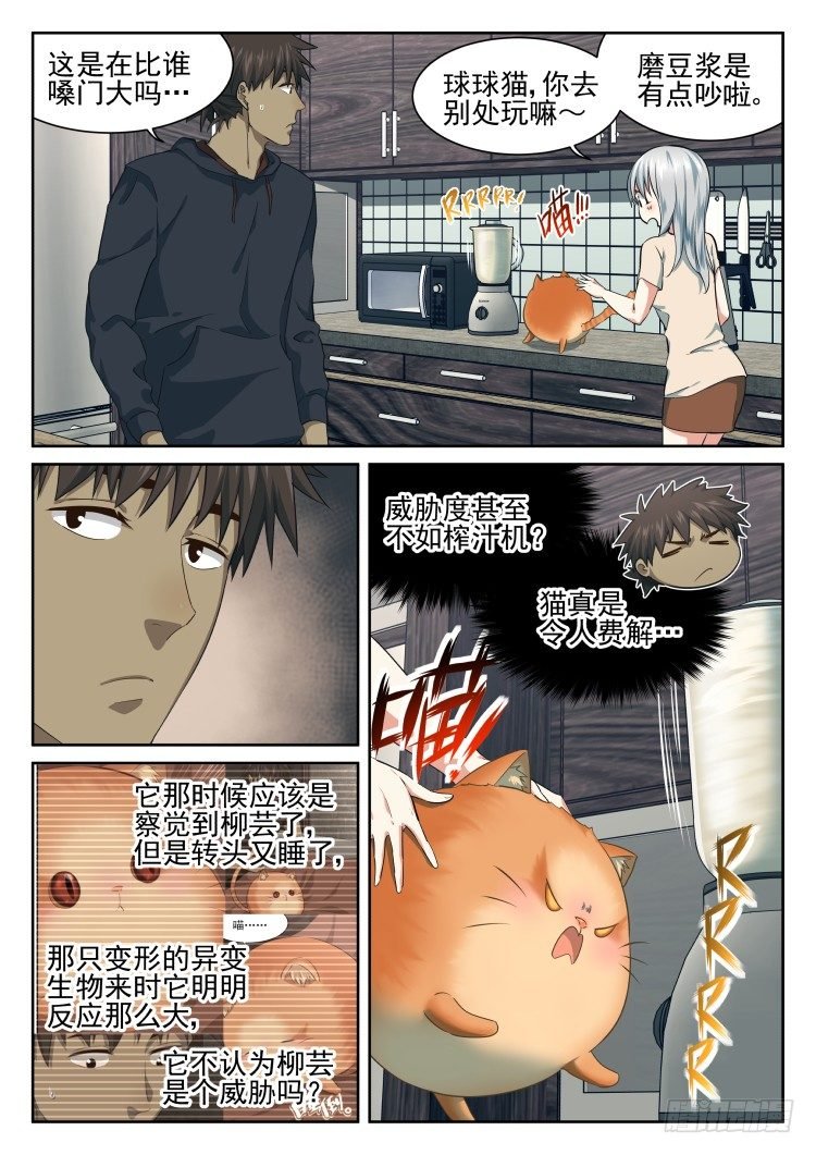 全是吃的