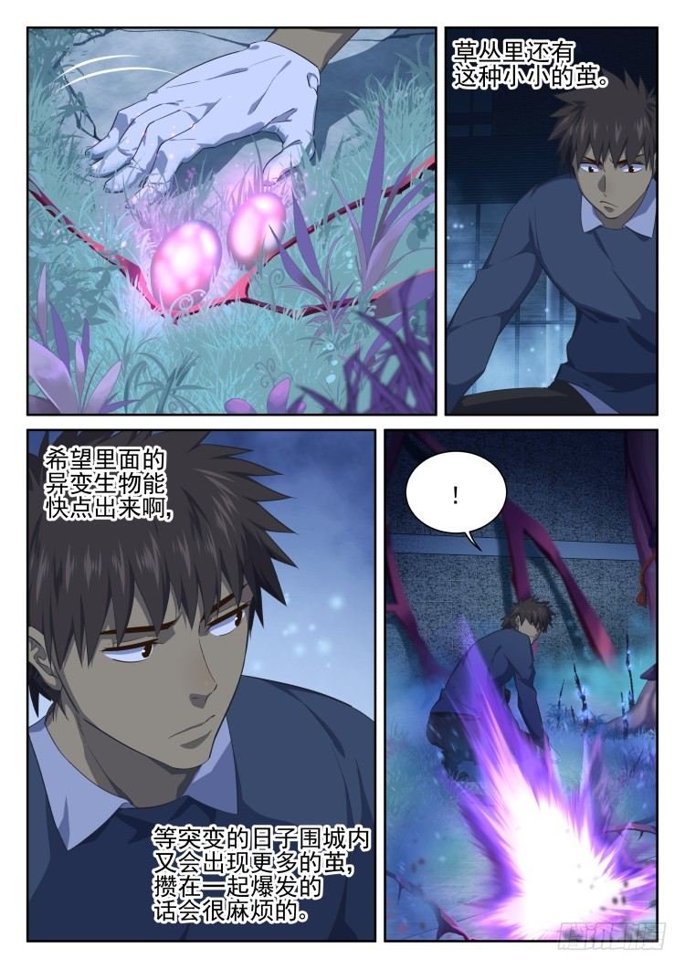 菲尼快乐豆