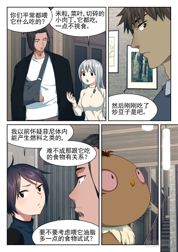 菲尼快乐豆