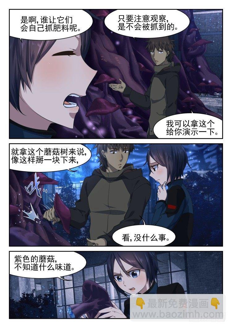 从后院到厨房