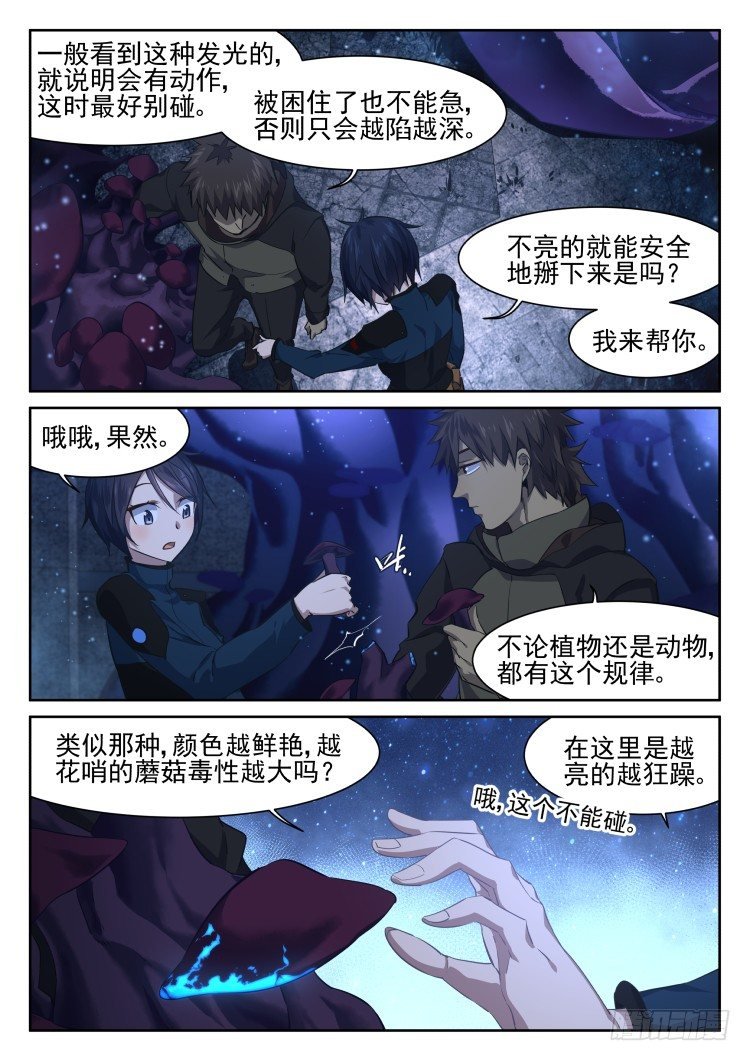 从后院到厨房