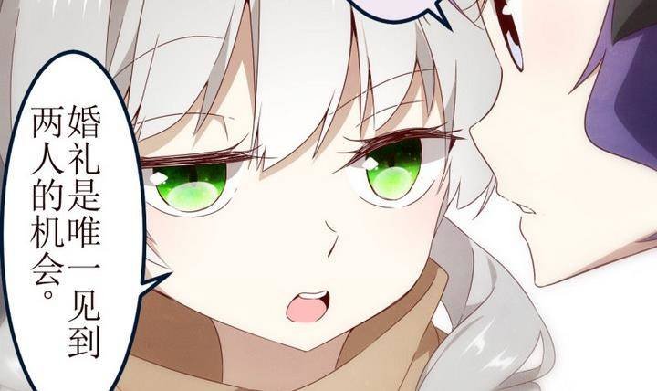 第9话 第一份委托 3