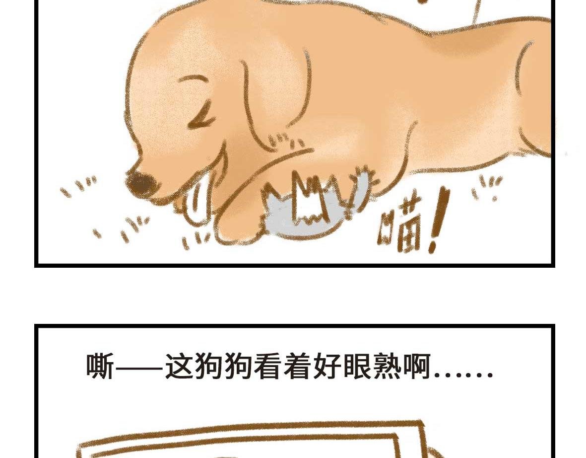 男孩子的记忆力是个迷