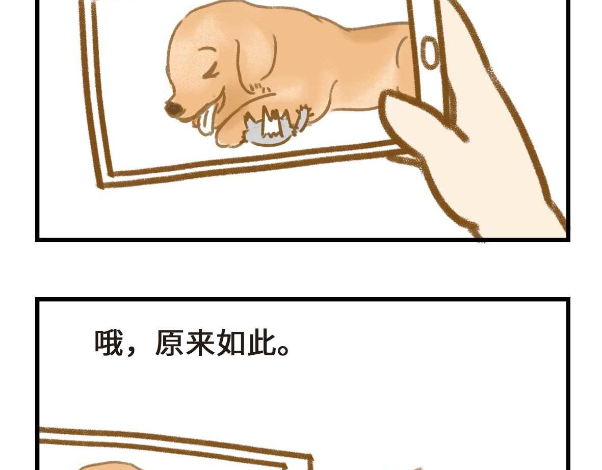 男孩子的记忆力是个迷
