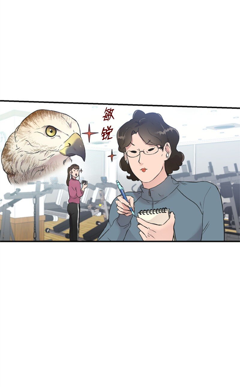 10 Honey Bee4号上线