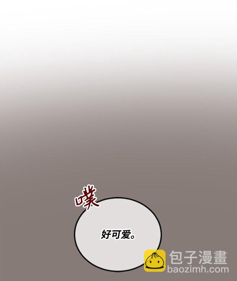 19 Honey Bee 0号来了
