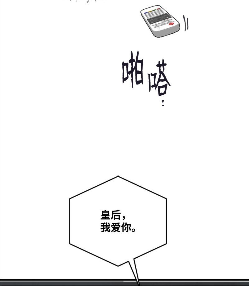 49 关于理想型的作业