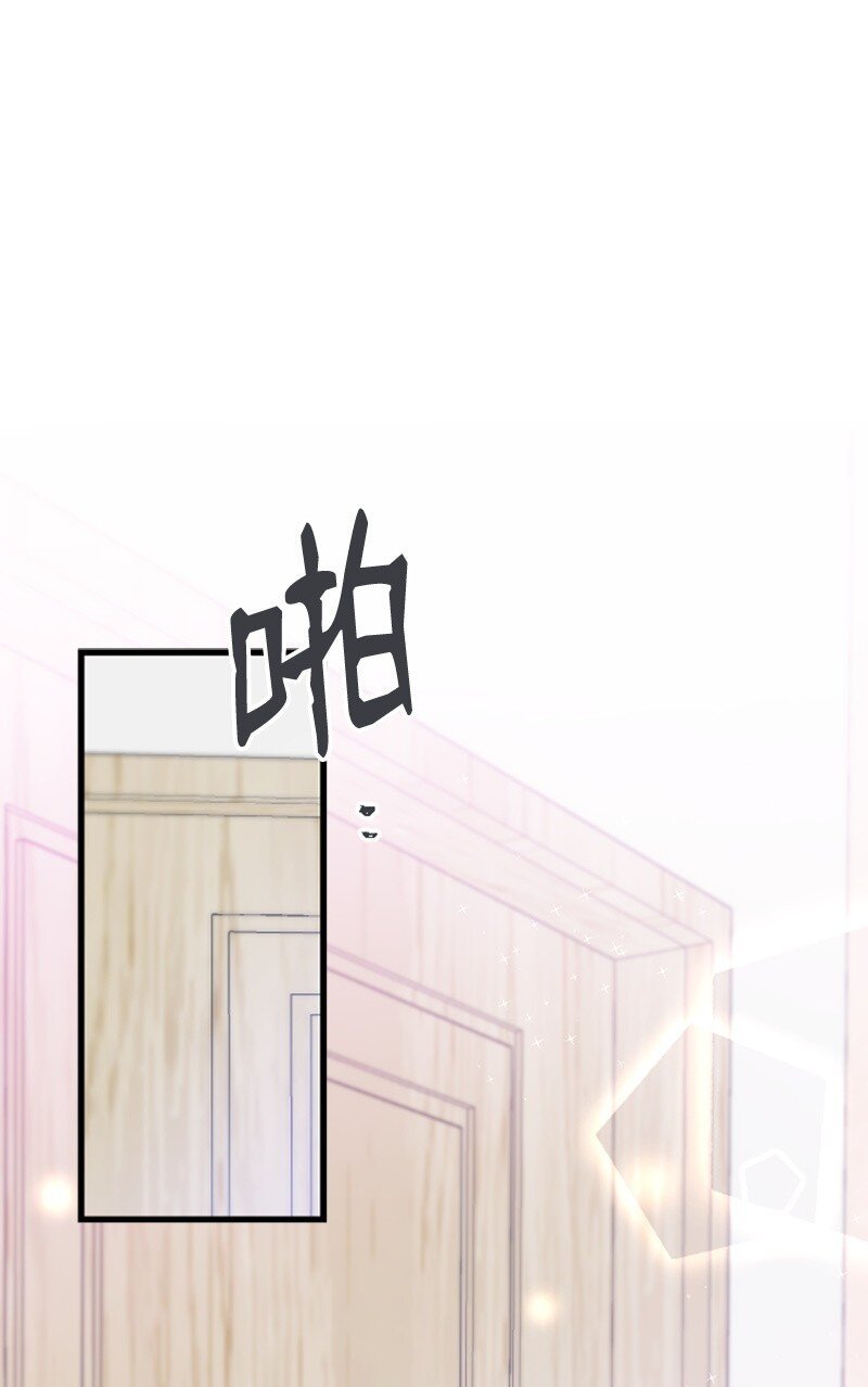 49 关于理想型的作业