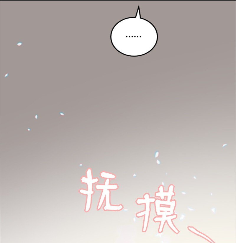 49 关于理想型的作业