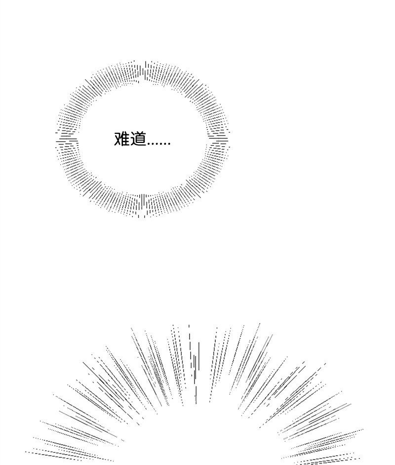 49 关于理想型的作业