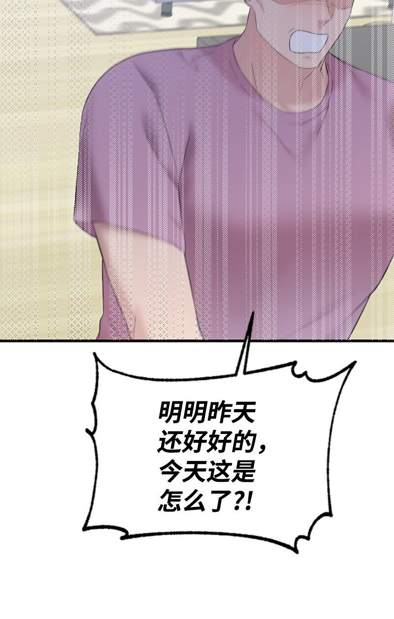 58 了解真相的清儿