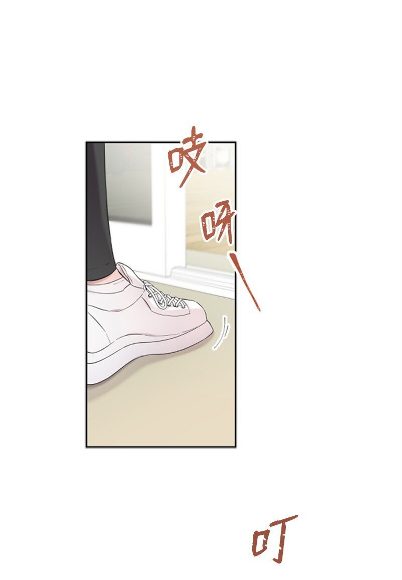 06 放鸽子