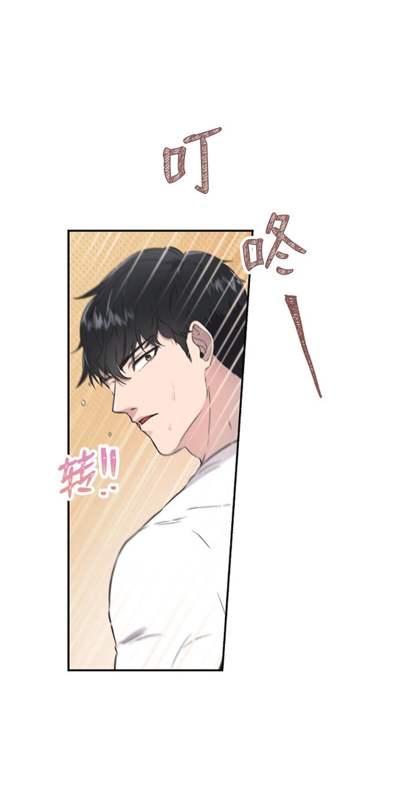 06 放鸽子