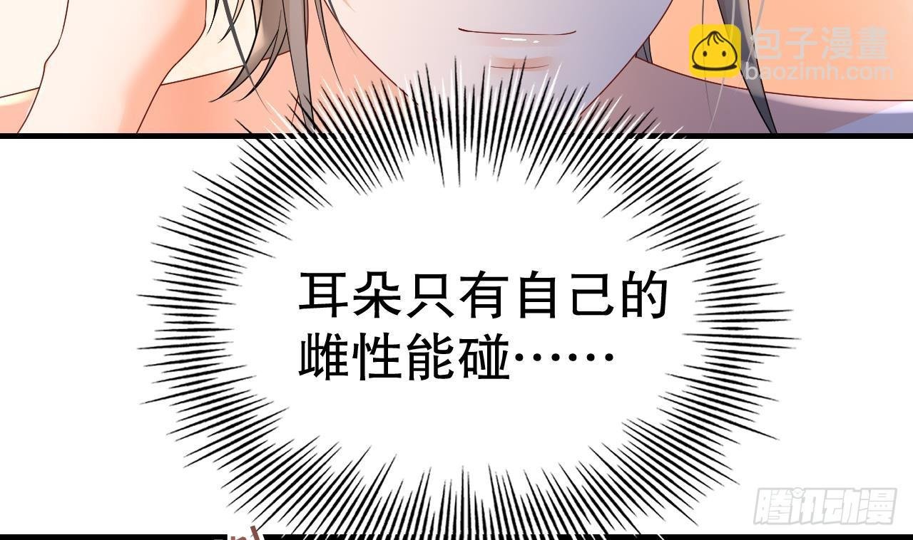 第16话 摸摸耳朵~