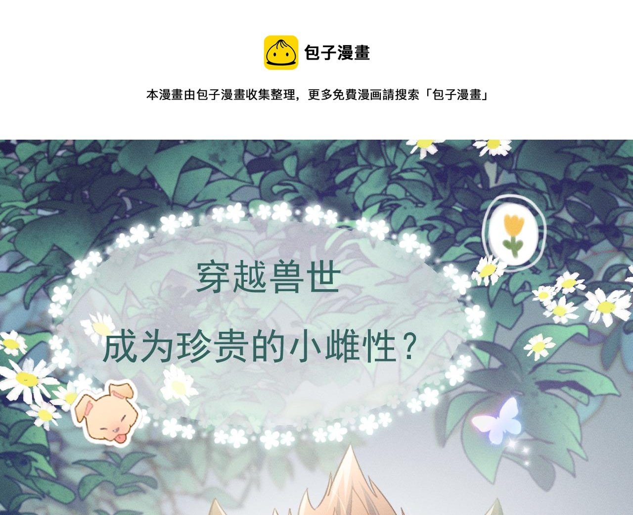 正式预告