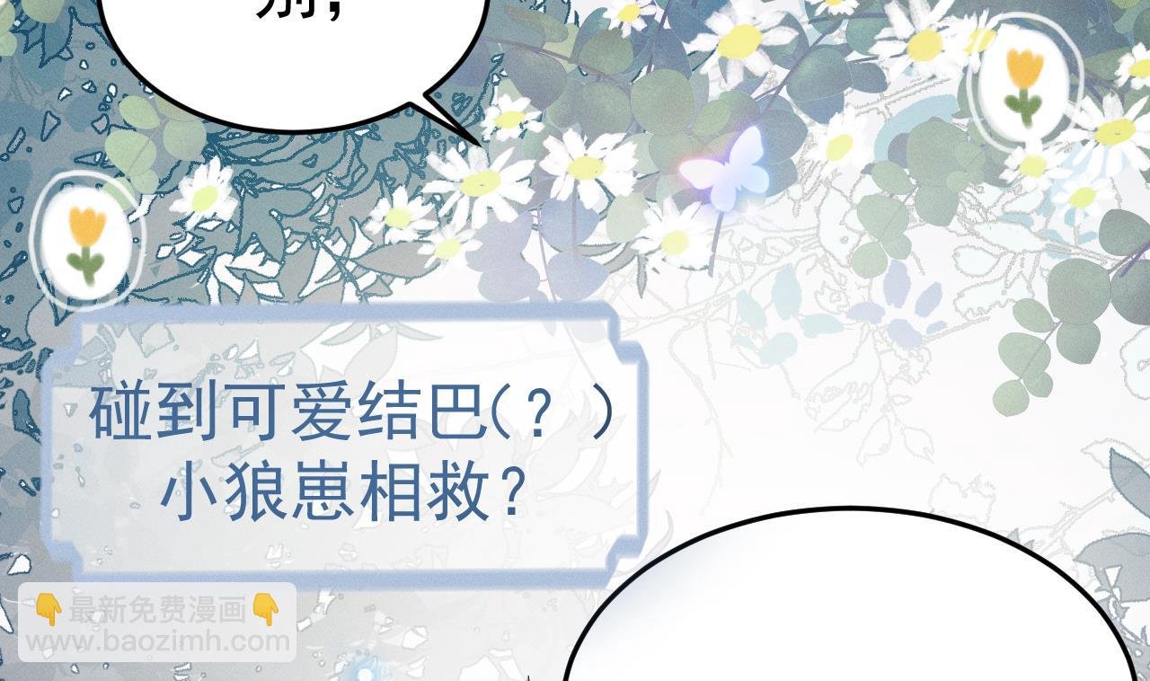正式预告
