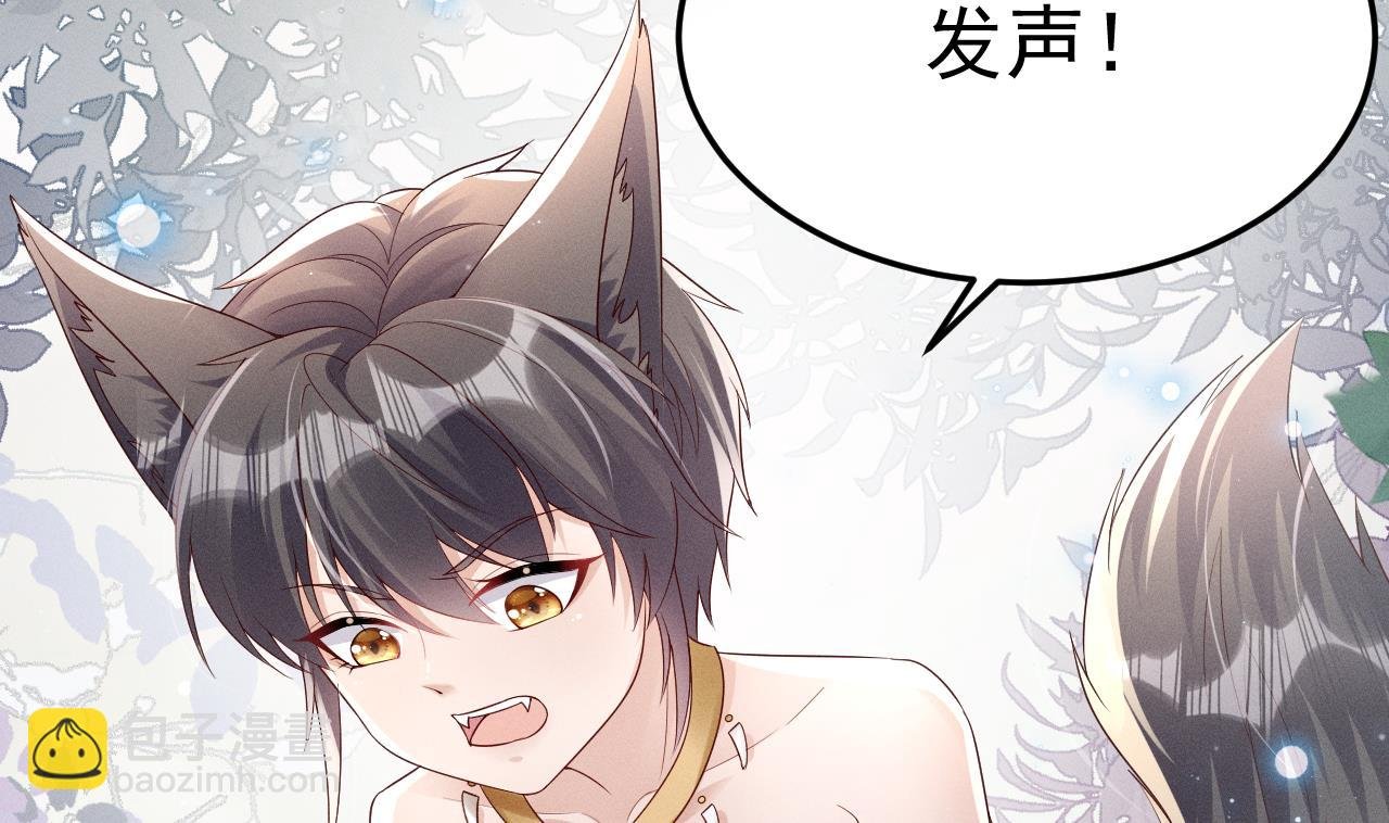正式预告