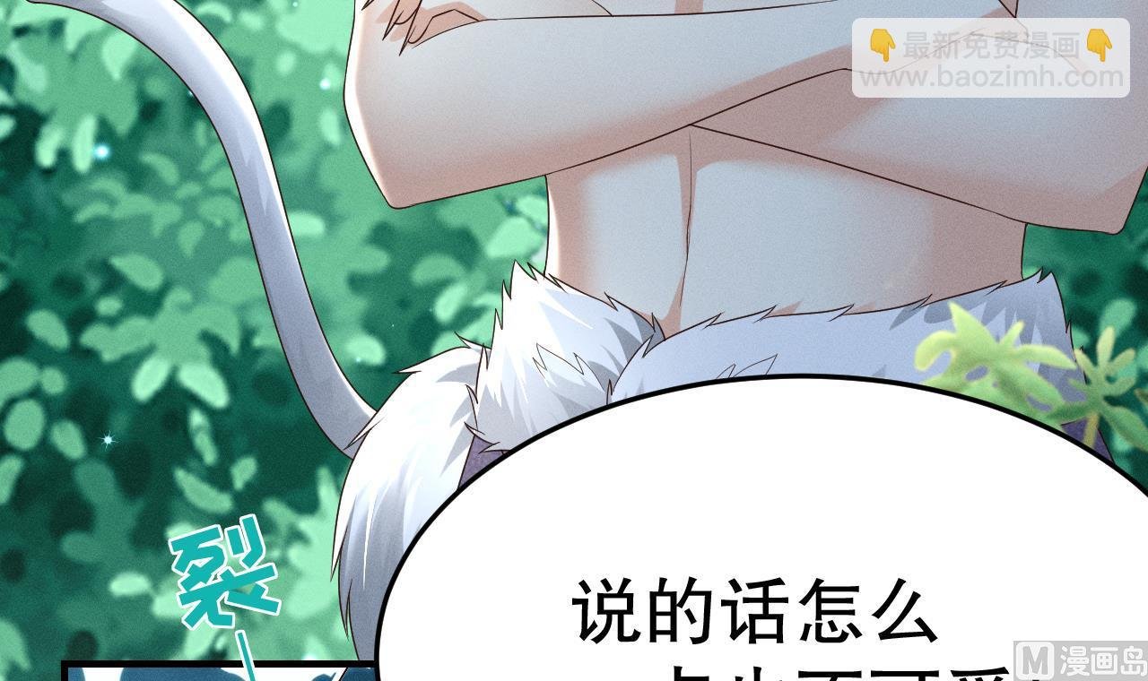 第2话 拿捏傲娇小白狮~