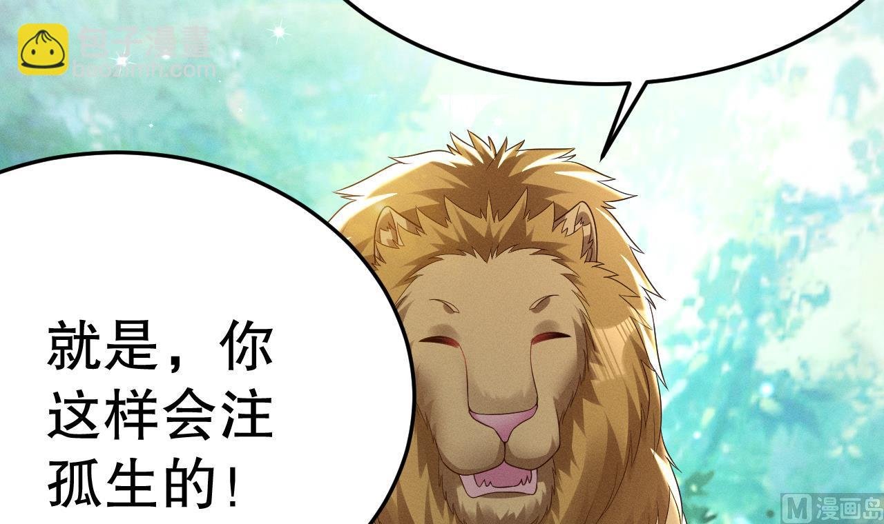 第2话 拿捏傲娇小白狮~