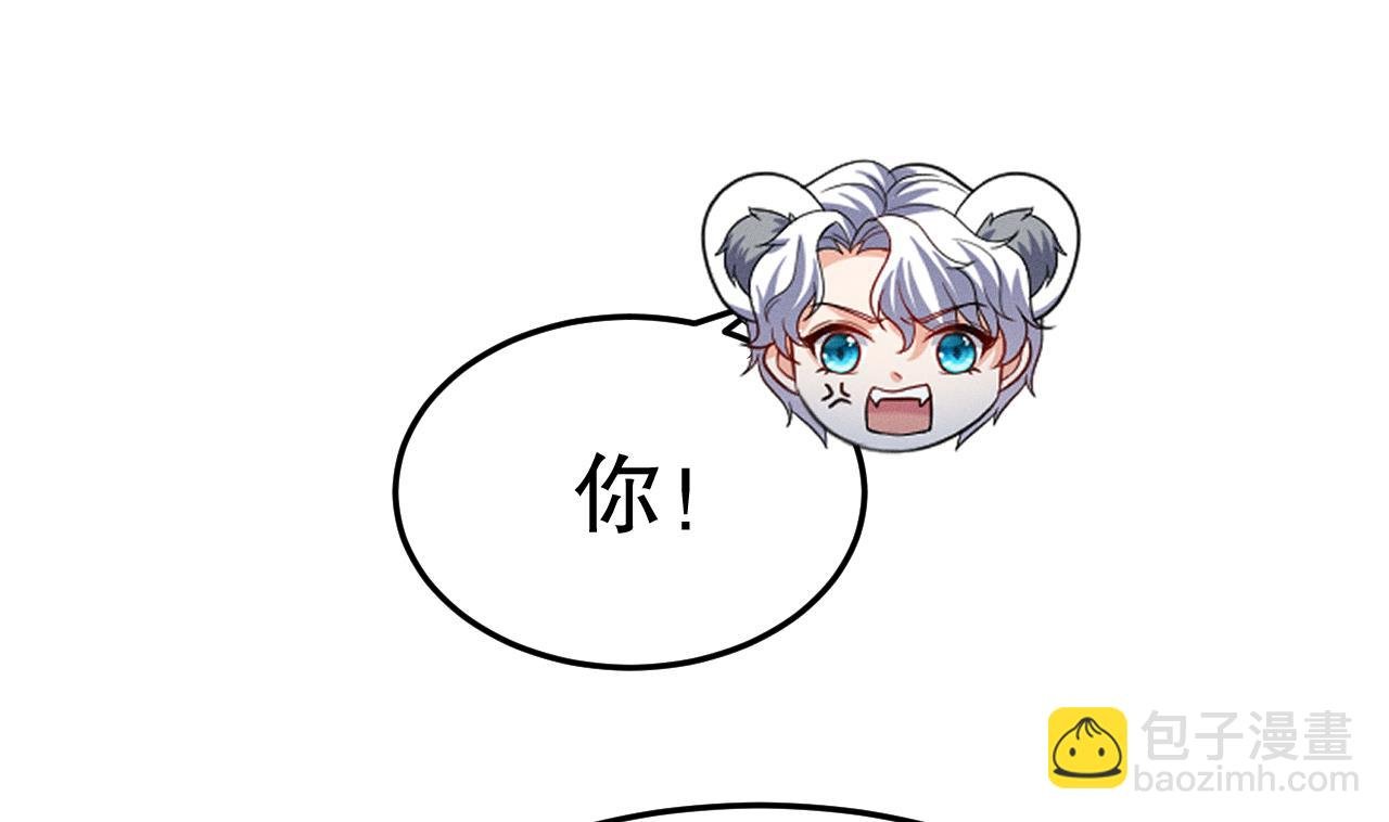 第2话 拿捏傲娇小白狮~