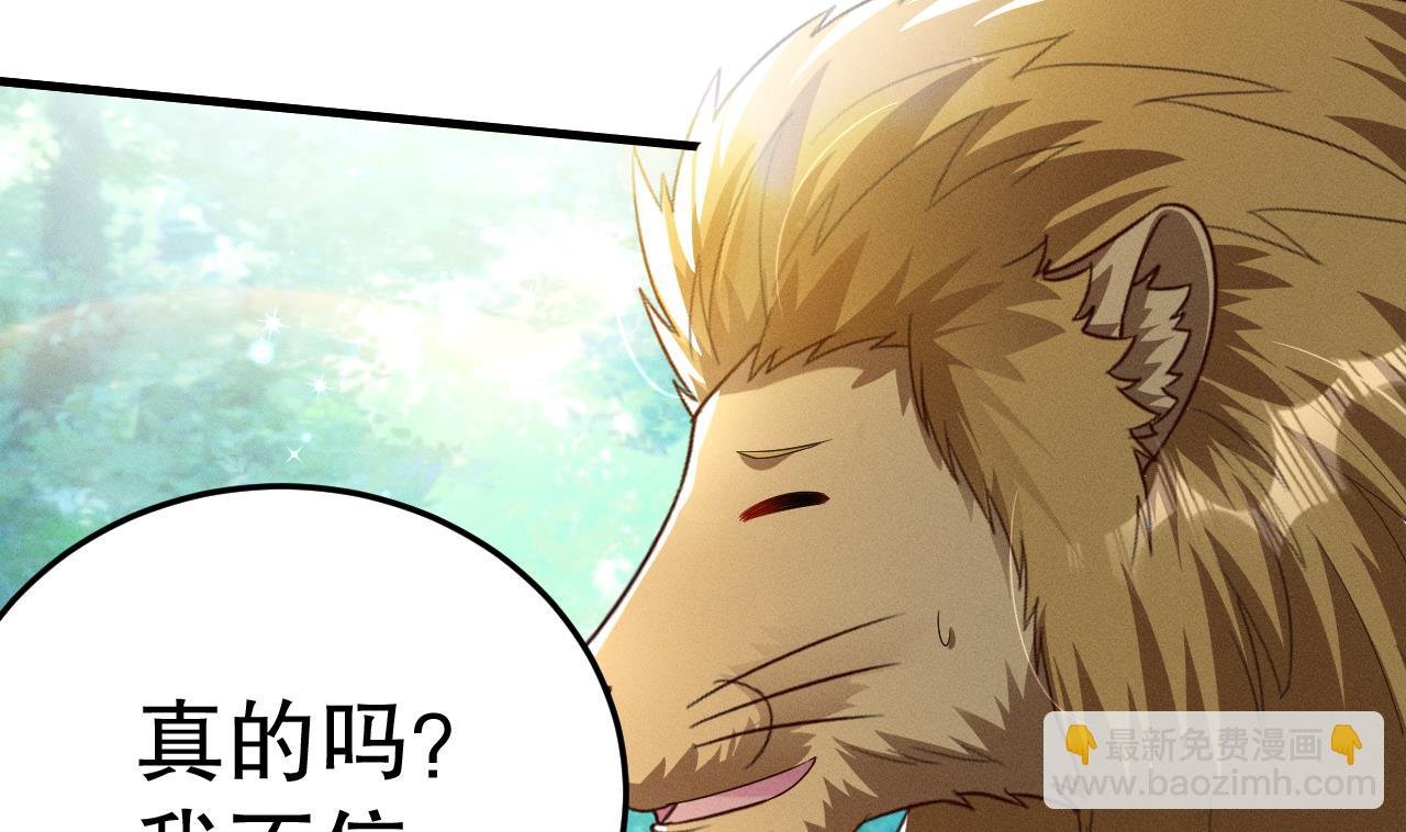 第2话 拿捏傲娇小白狮~