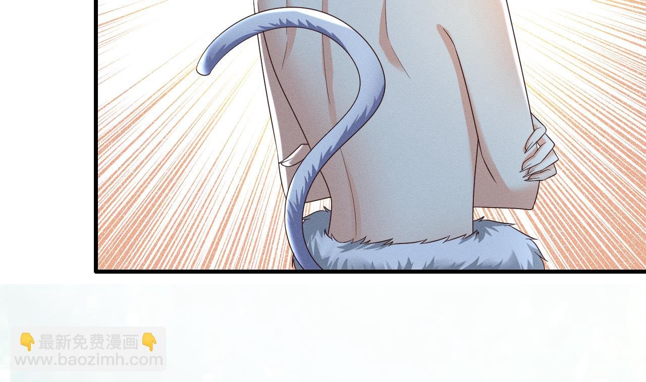 第2话 拿捏傲娇小白狮~