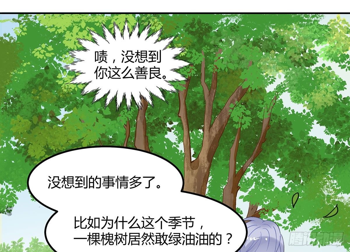颜斐的秘密