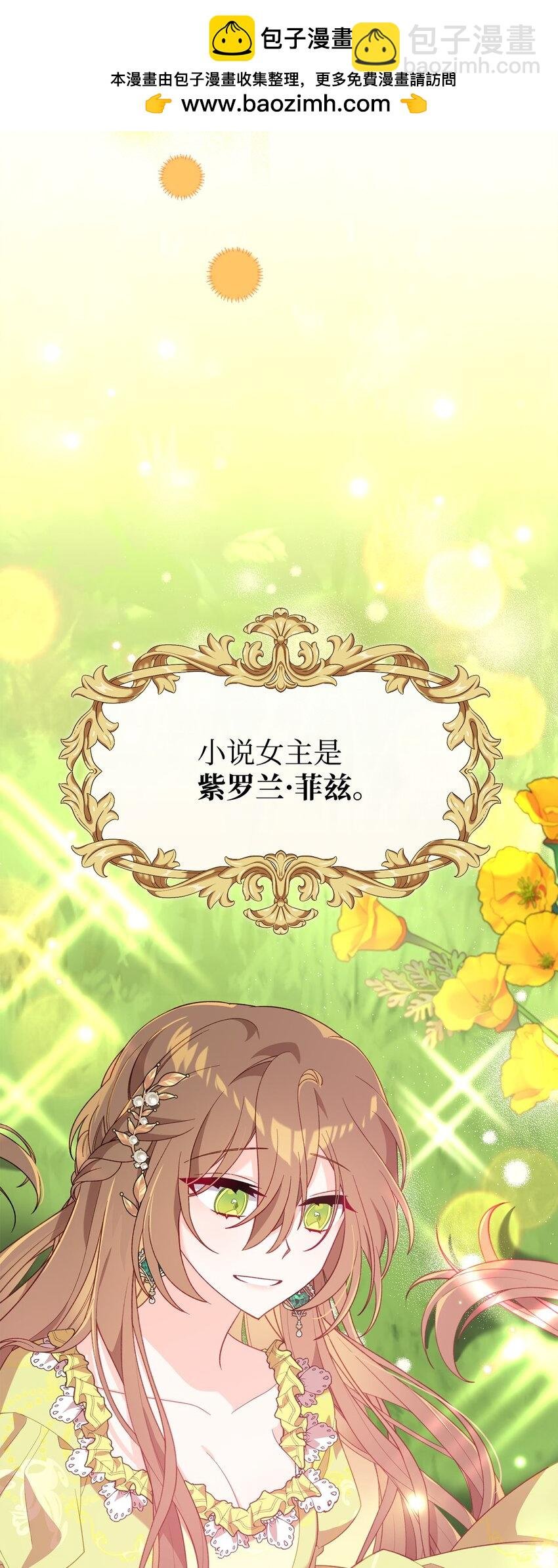 04 拉菲雅
