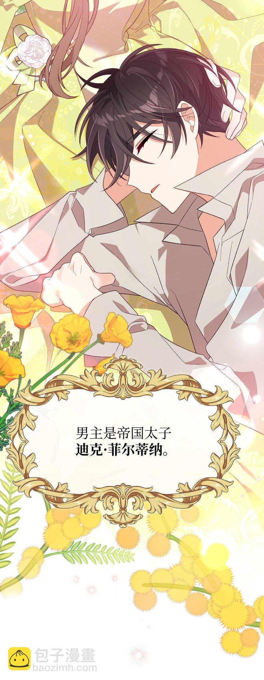 04 拉菲雅