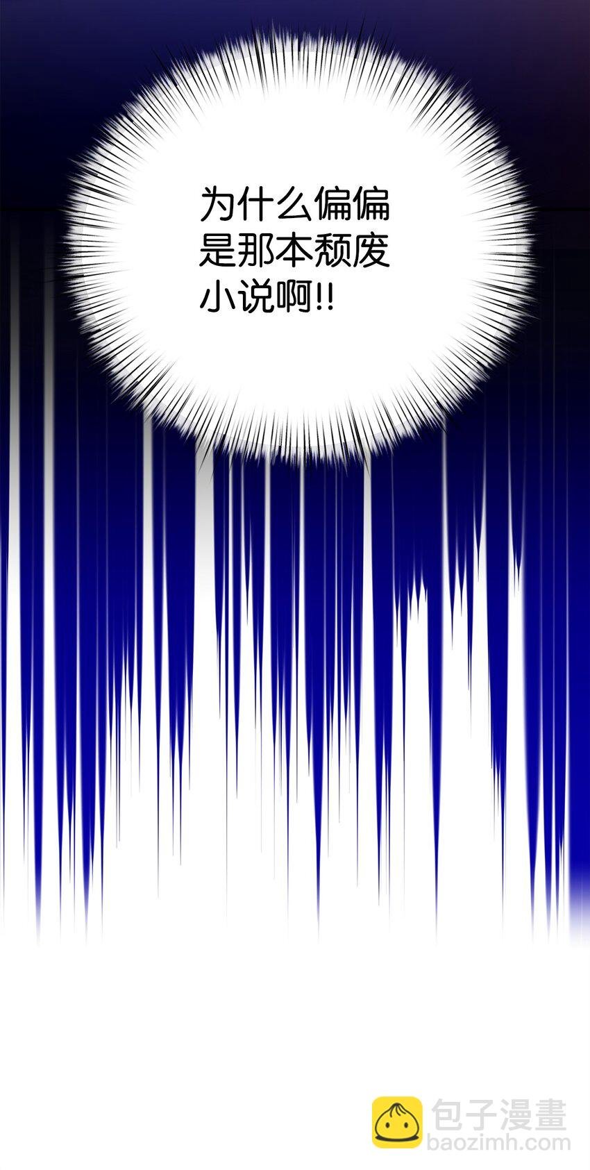 04 拉菲雅
