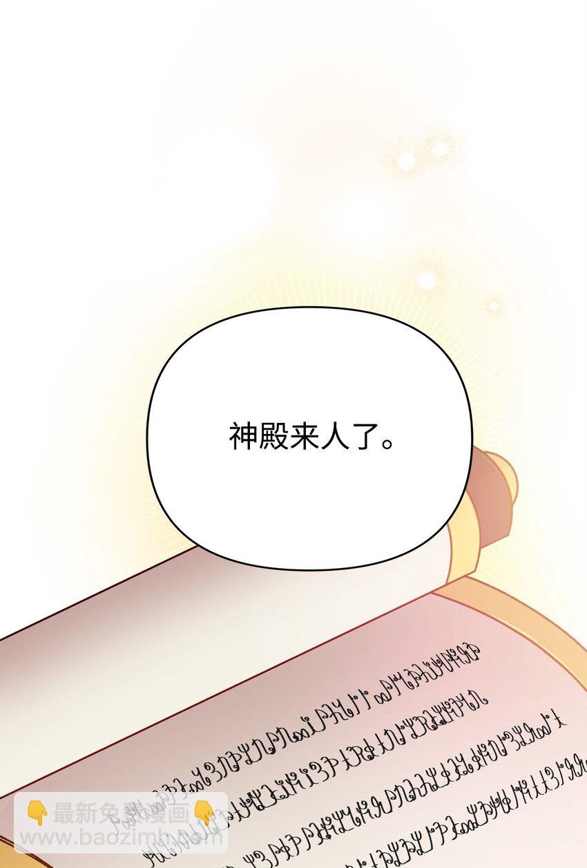 04 拉菲雅