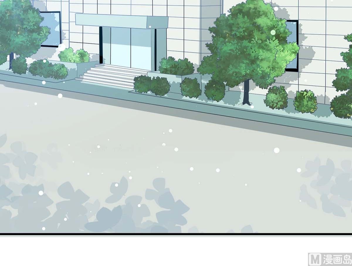 第37话 鉴定结果