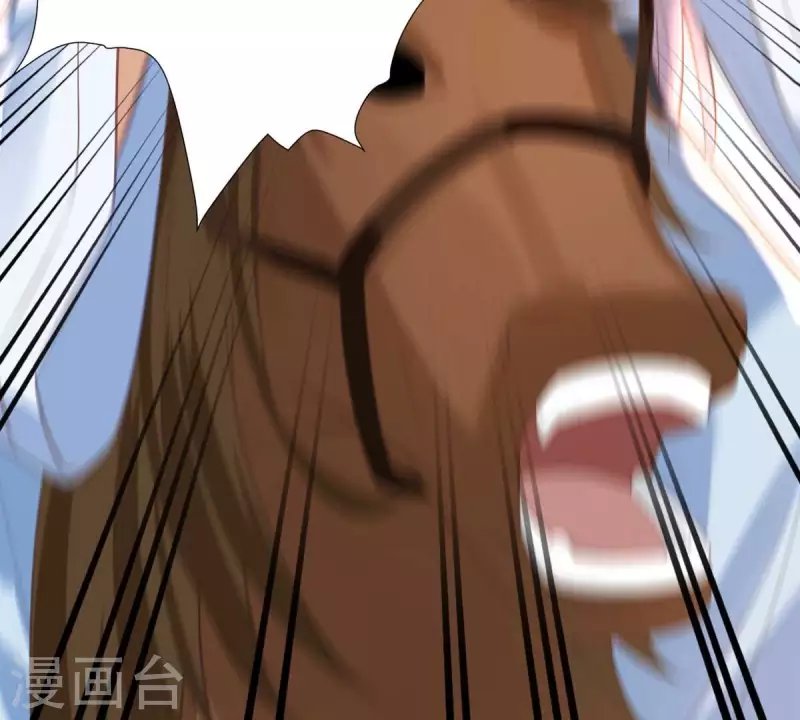 第39话 当然是去陪我的夫人