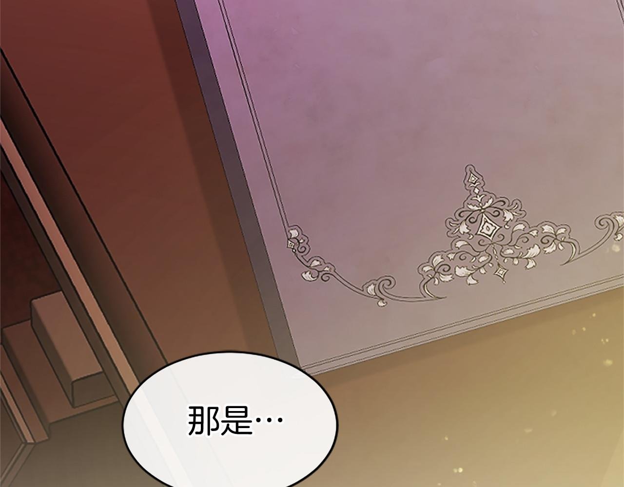 第41话 背景调查